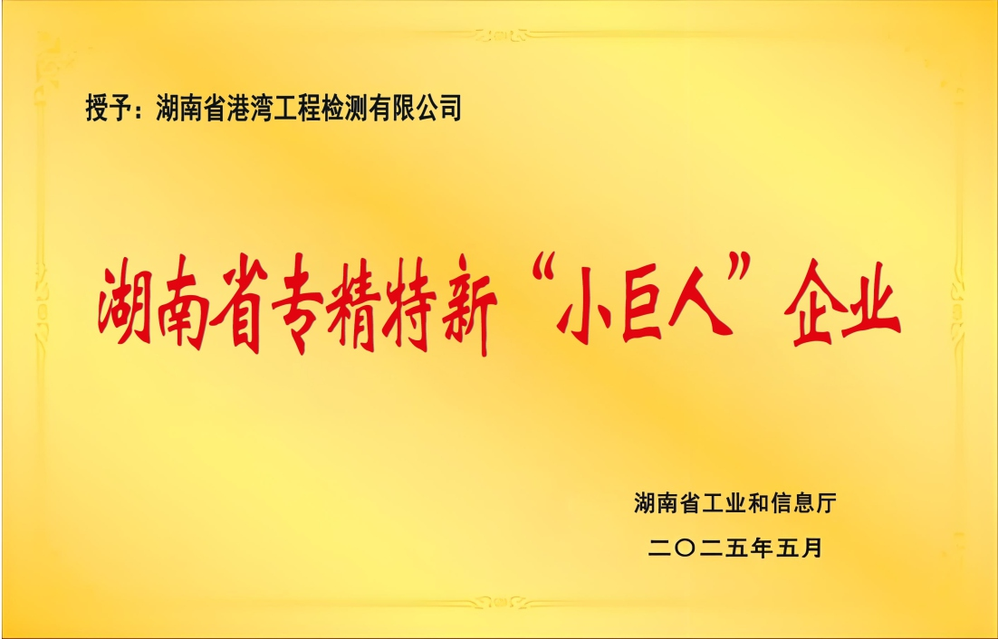 专精特新小巨人企业